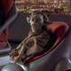 Imagen para el artículo titulado Yoda tenía apenas unos 30 años cuando murió en Star Wars, si nos basamos en The Mandalorian
